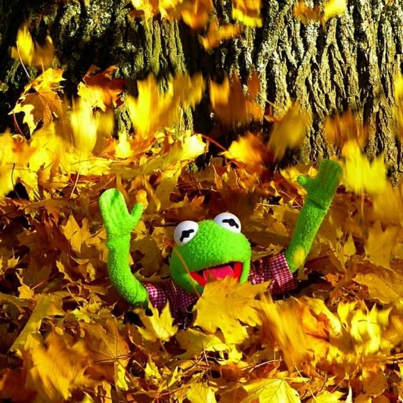 Meet your Posher, Kim - Picture 1 of 1